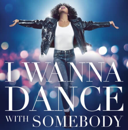 I Wanna Dance with Somebody collection