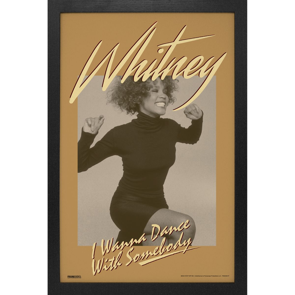 Whitney Houston - Dance-Excited 11x17 Framed Print