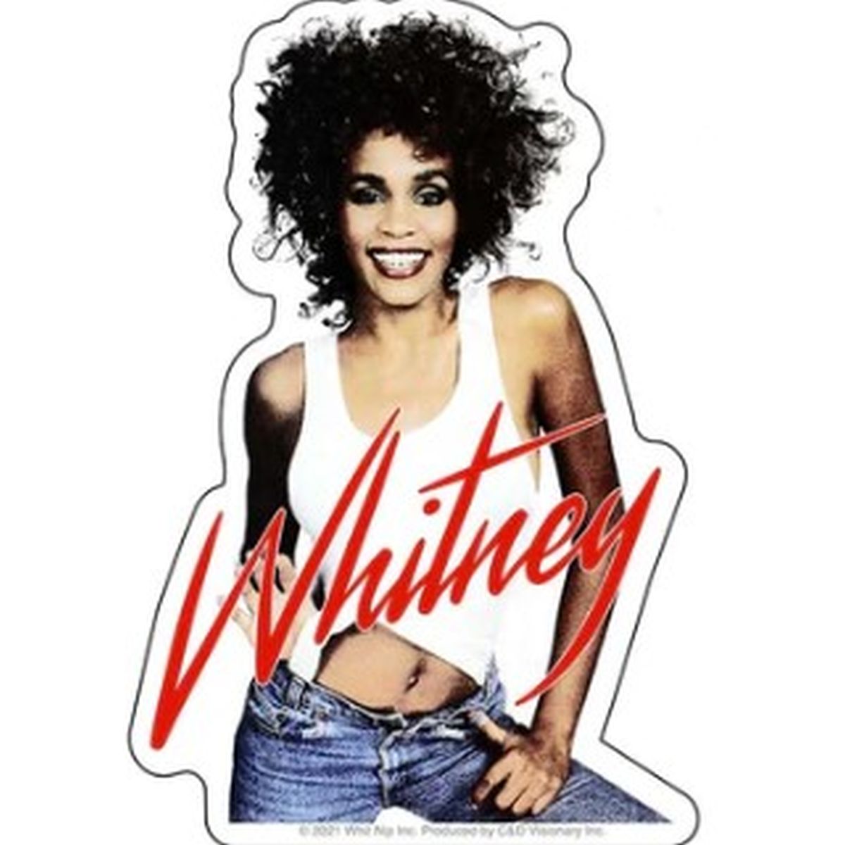 Whitney Houston Denim Pose Sticker
